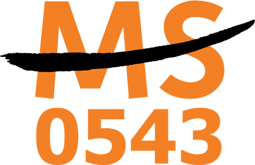 VNMS0543 Logo